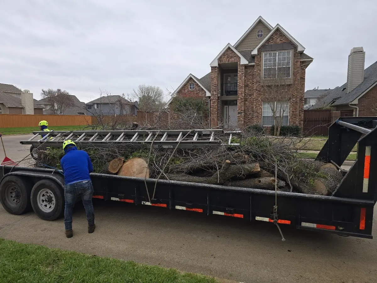 Expert Tree Removal with proper safety equipment in Wilburton